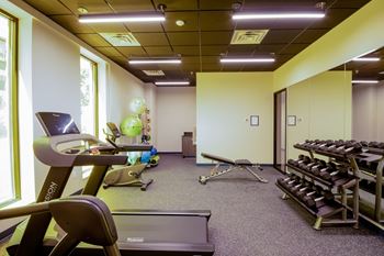 A gym with treadmills, exercise bikes, and weights.